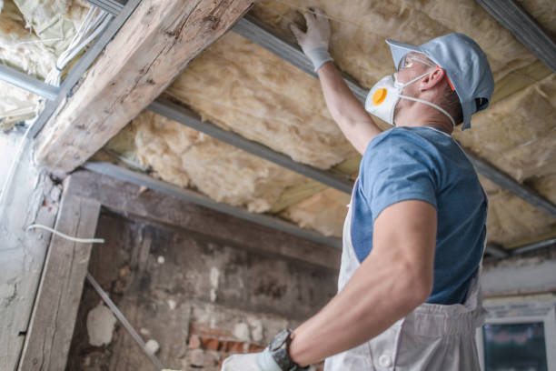 Best Specialized Insulation Services in Magnolia, NJ