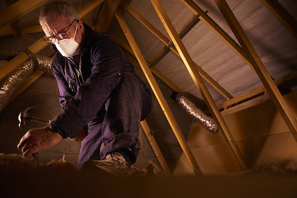 Best Eco-Friendly Insulation in Magnolia, NJ